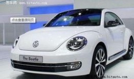 爆料甲壳虫游戏视频,全新视频曝光，带你领略刺激冒险之旅